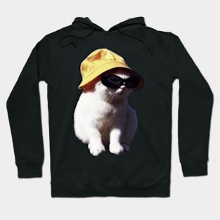 cool cat Hoodie